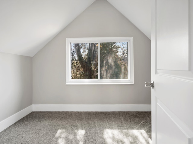 additional living space with lofted ceiling, carpet, and baseboards