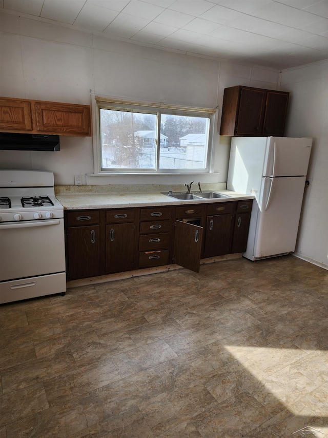 kitchen with white appliances, a sink, light countertops, dark brown cabinetry, and under cabinet range hood