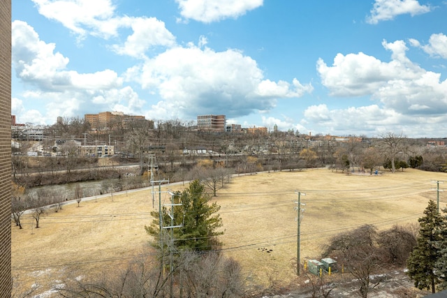 view of yard featuring a view of city