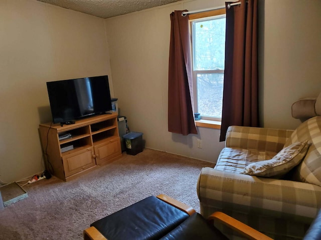 carpeted living area with a textured ceiling