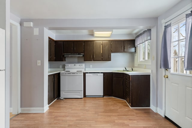 kitchen with under cabinet range hood, white appliances, light countertops, and a sink