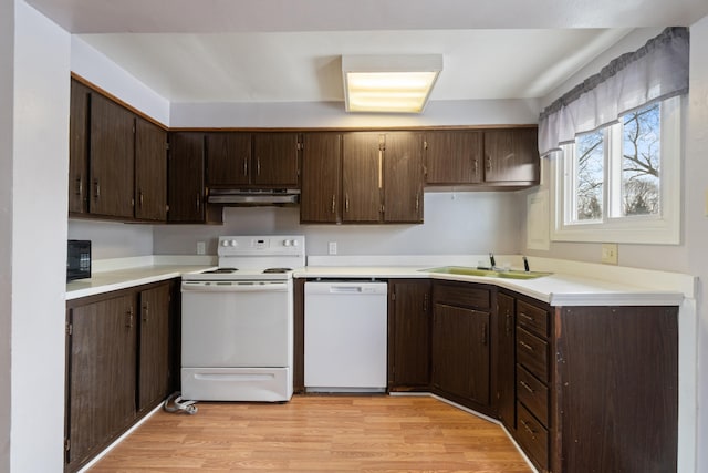 kitchen featuring light wood-type flooring, under cabinet range hood, a sink, white appliances, and dark brown cabinets