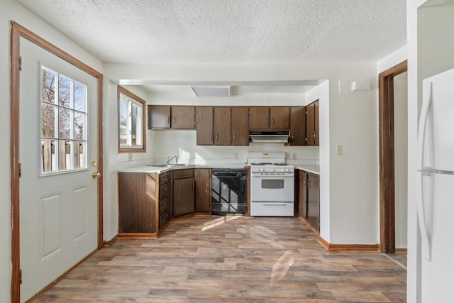 kitchen with under cabinet range hood, light countertops, light wood-style flooring, white appliances, and a sink