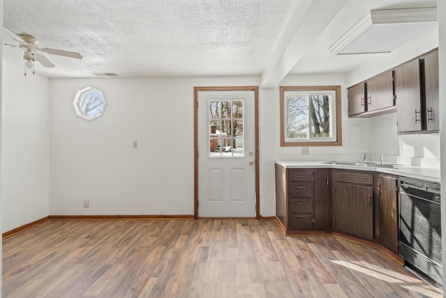 kitchen featuring a wealth of natural light, light wood-style floors, and a sink