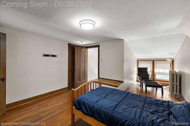 19344 Strathcona Dr, Detroit, MI 48203 - bedroom with wood finished floors and radiator