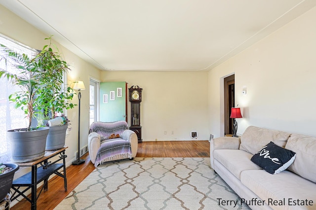 living room with wood finished floors