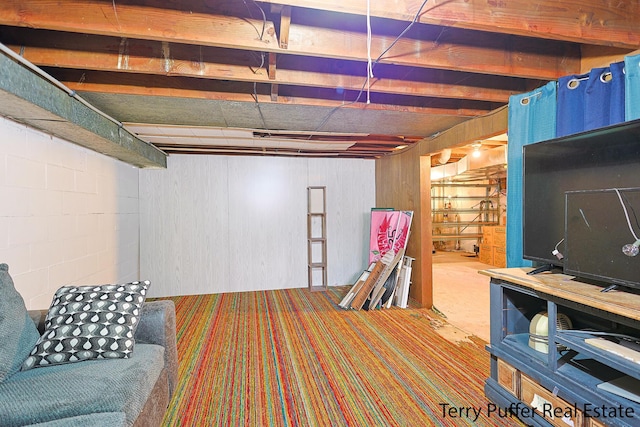 unfinished basement with carpet flooring and concrete block wall