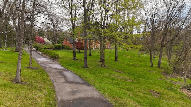 view of community featuring a yard