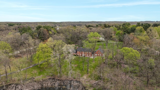 aerial view with a forest view
