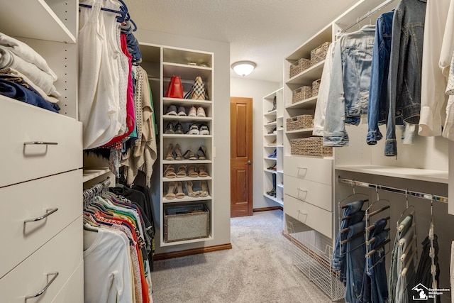 spacious closet with light carpet