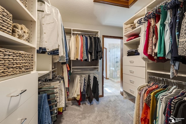 walk in closet featuring carpet