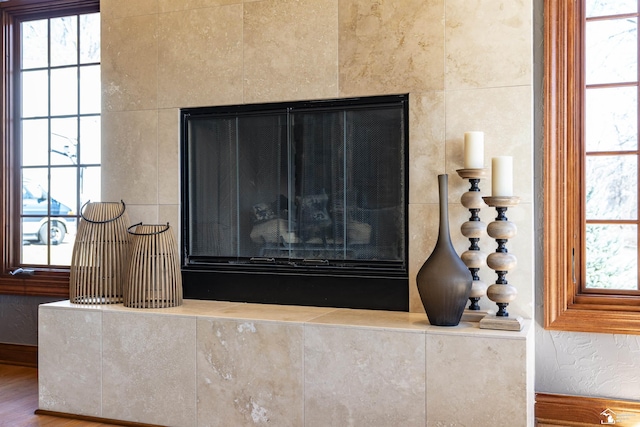 details featuring wood finished floors, a fireplace, and a textured wall