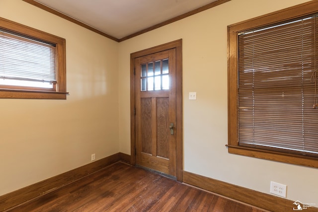 foyer with dark wood-style flooring, a healthy amount of sunlight, baseboards, and ornamental molding