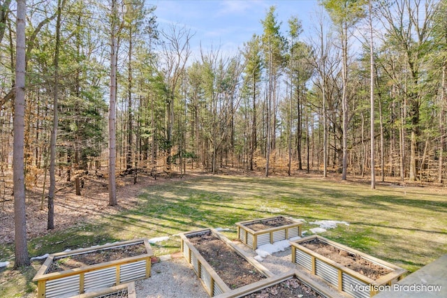 view of yard with a garden