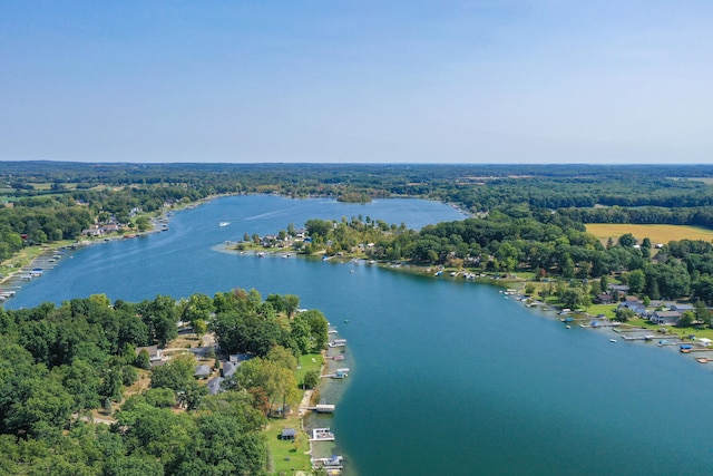 birds eye view of property with a forest view and a water view