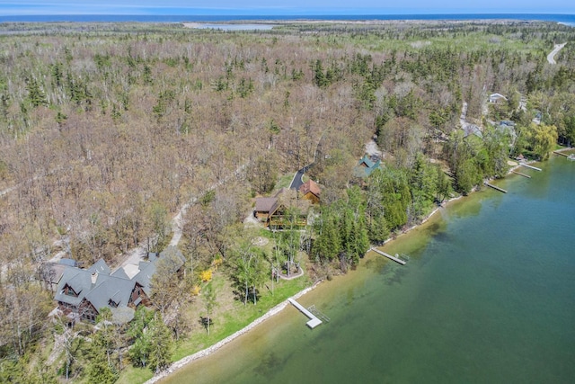 10924 E Grand Lake Rd, Presque Isle, MI 49777 - aerial view of a forest and a large body of water