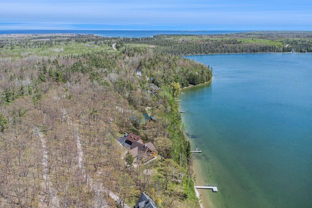 10924 E Grand Lake Rd, Presque Isle, MI 49777 - view of property location with a large body of water and a forest
