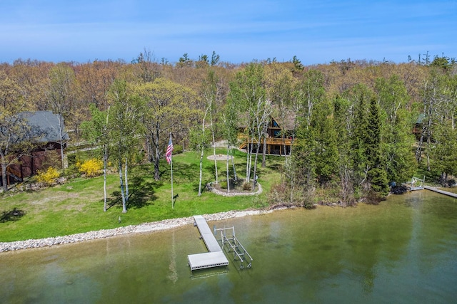 10924 E Grand Lake Rd, Presque Isle, MI 49777 - dock with a water view, a forest view, and a yard