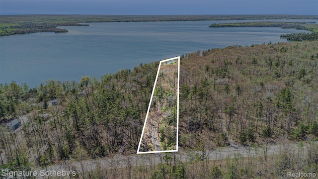 10924 E Grand Lake Rd, Presque Isle, MI 49777 - aerial overview of property's location featuring property parcel outlined, a nearby body of water, and a heavily wooded area