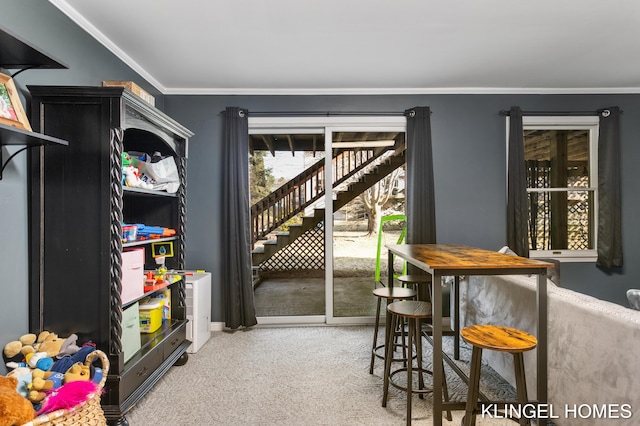 recreation room with crown molding and carpet