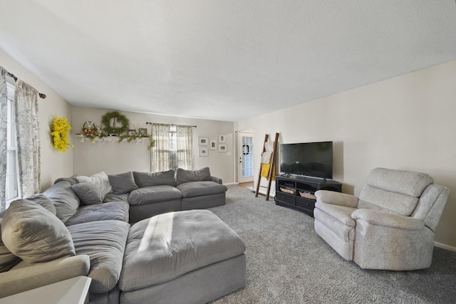 carpeted living room featuring baseboards and a textured ceiling