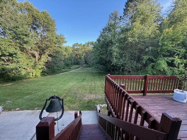 1357 W M-20, New Era, MI 49446 - view of grassy yard with a deck