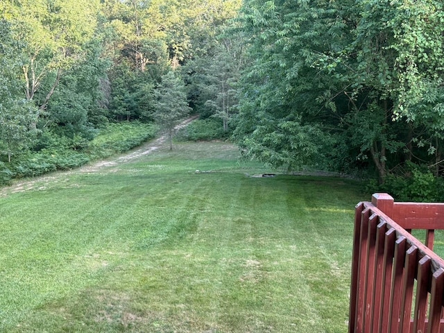 1357 W M-20, New Era, MI 49446 - view of grassy yard with a wooded view