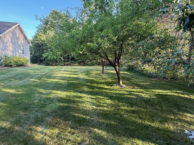 1357 W M-20, New Era, MI 49446 - view of grassy yard