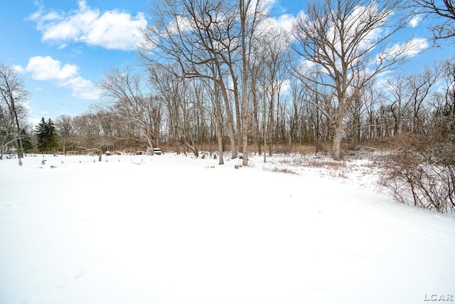 view of yard covered in snow