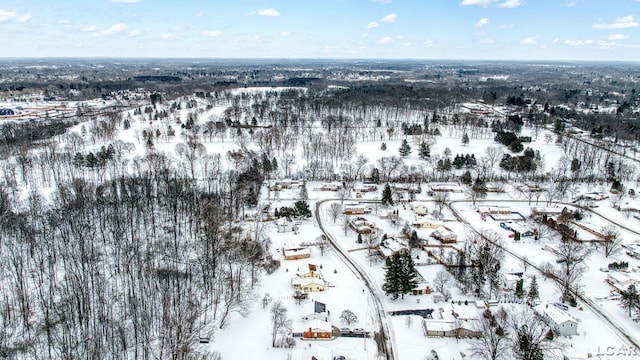 view of snowy aerial view