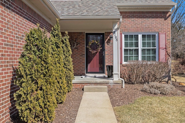 entrance to property with brick siding and a shingled roof