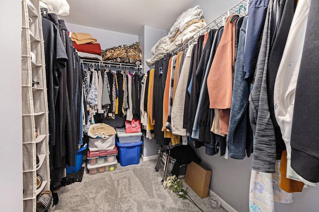 walk in closet featuring carpet