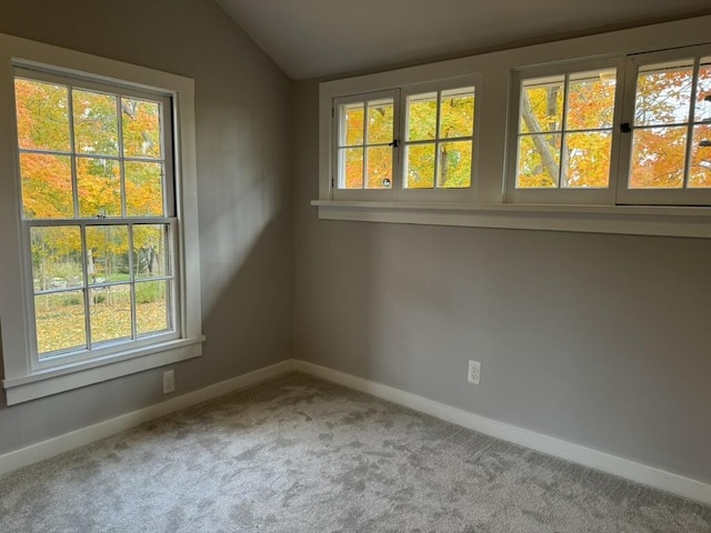 spare room featuring baseboards, carpet floors, and vaulted ceiling