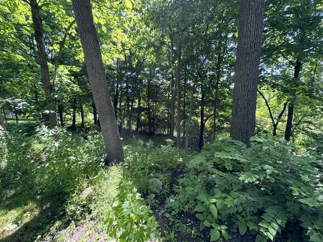 view of landscape featuring a view of trees