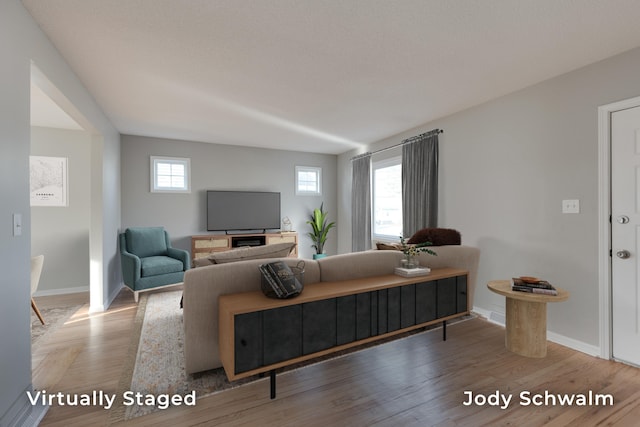 living area featuring baseboards and wood finished floors