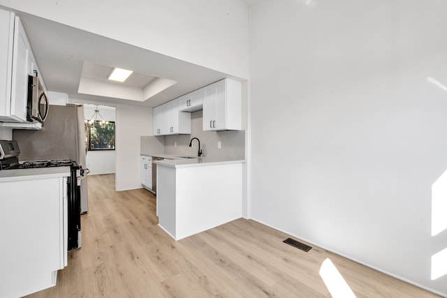 kitchen with a raised ceiling, white cabinets, light wood finished floors, and stainless steel appliances