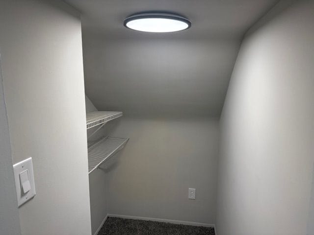 spacious closet with carpet