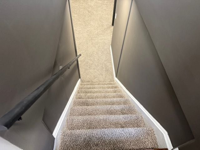 stairs featuring baseboards and carpet floors