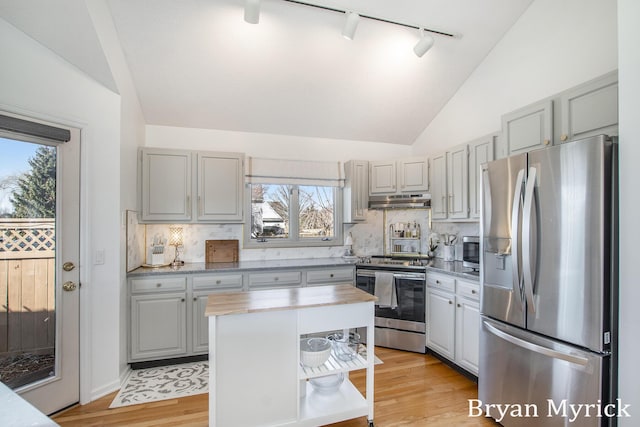 kitchen featuring lofted ceiling, light wood-style flooring, under cabinet range hood, appliances with stainless steel finishes, and tasteful backsplash