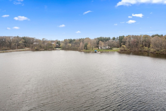 property view of water with a view of trees