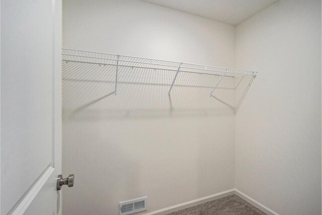 5227 Brinson Ln, Kalamazoo, MI 49009 - spacious closet with visible vents and carpet floors