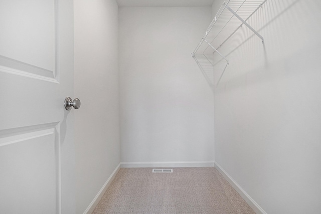 5227 Brinson Ln, Kalamazoo, MI 49009 - spacious closet with carpet flooring