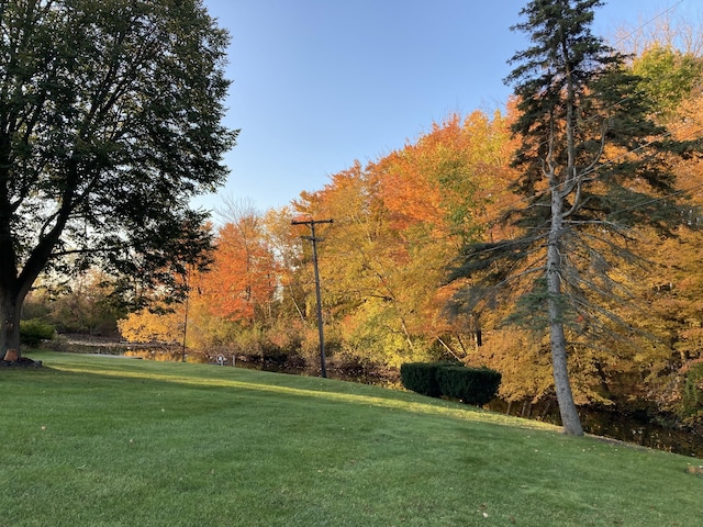 surrounding community with a yard and a view of trees