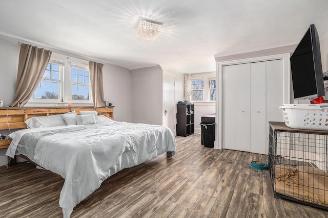 bedroom featuring wood finished floors and a closet