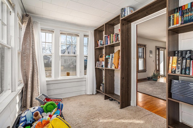 game room with wood finished floors