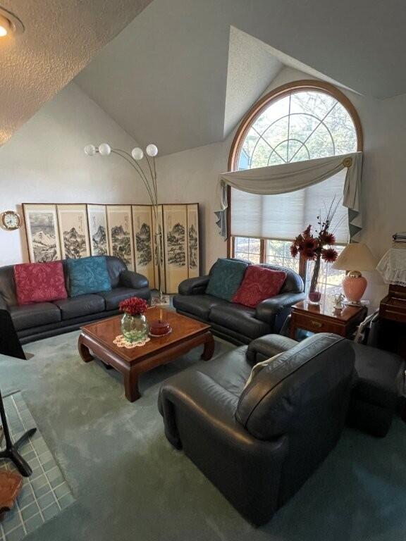 living room with high vaulted ceiling and carpet flooring