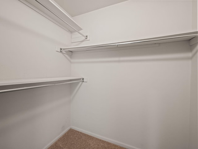 spacious closet with carpet