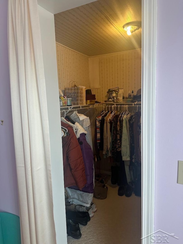 walk in closet with carpet