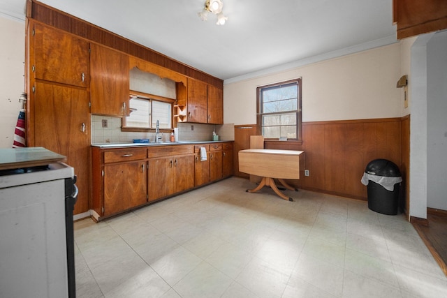 kitchen with brown cabinetry, a sink, ornamental molding, light countertops, and wainscoting