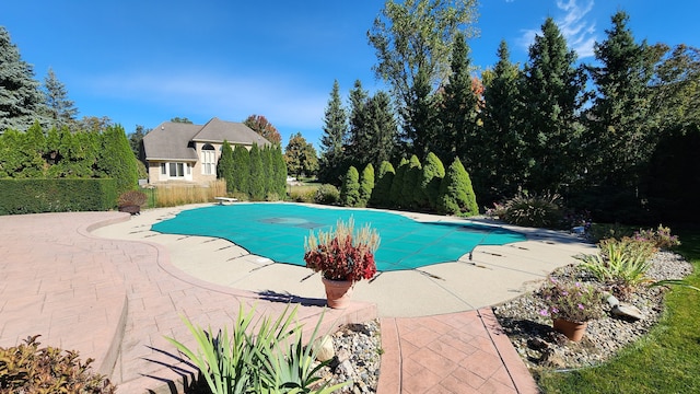 view of swimming pool with a covered pool, a patio, and a diving board